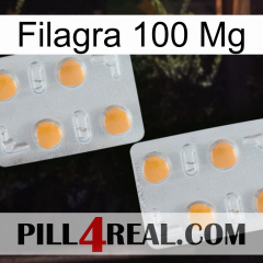 Filagra 100Mg 25